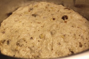 fig-almond-bread 07