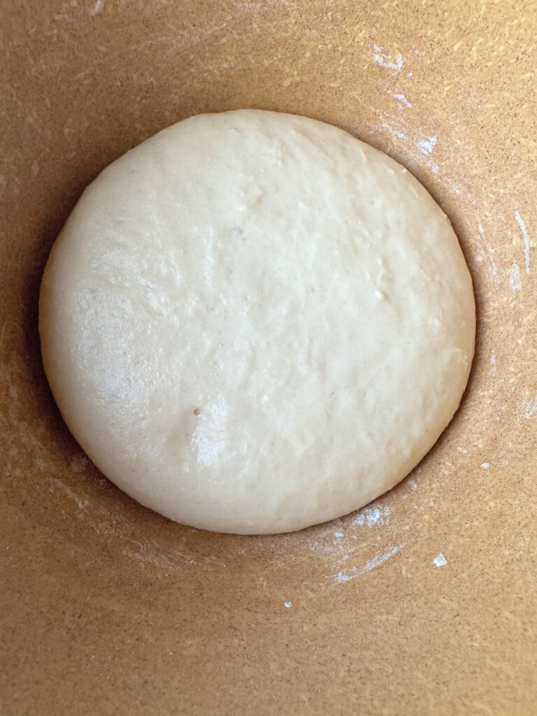 Stiff Sourdough Levain ready to use in Dough