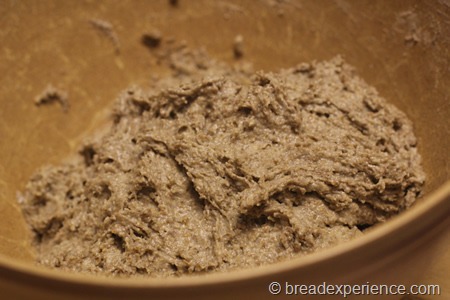 five-grain-rye-sourdough_1274_thumb