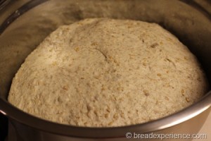 five-grain-rye-sourdough_1284