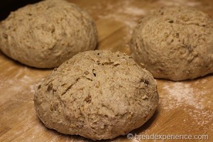 five-grain-rye-sourdough_1286