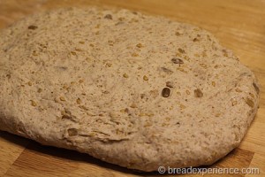 five-grain-rye-sourdough_1287