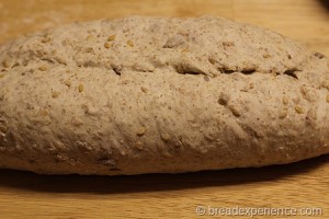 five-grain-rye-sourdough_1289