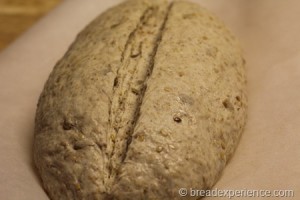 five-grain-rye-sourdough_1302