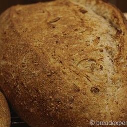 Five Grain Rye Sourdough