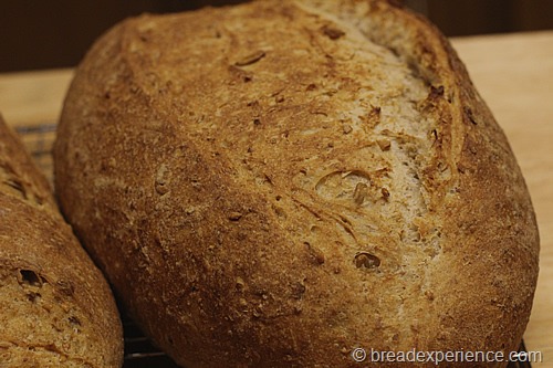 five-grain-rye-sourdough_1317_thumb