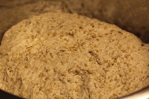 five-grain-spelt-levain_2311