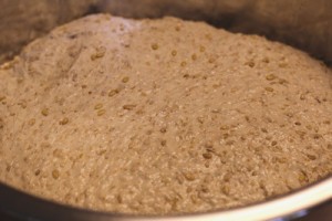 five-grain-spelt-levain_2324