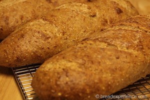 five-grain-spelt-levain_2336