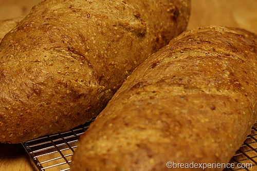 5 Grain Spelt Levain