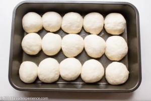 fluffy-sourdough-dinner-rolls-1-7