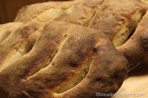 Fougasse with Herbes de Provence