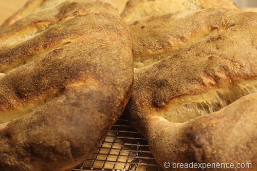 fougasse ready to eat