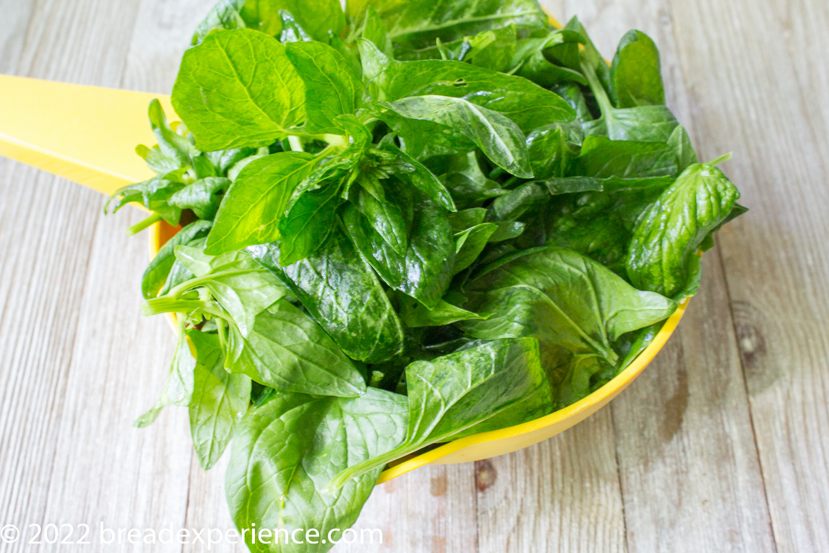 fresh spinach leaves