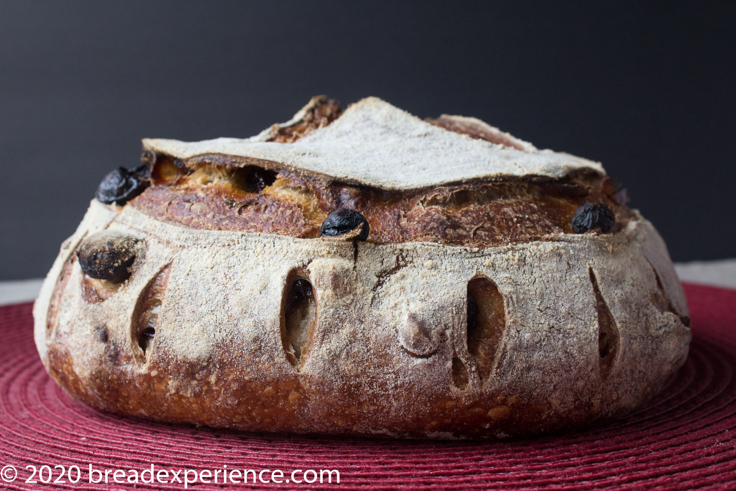 Fruity Pain au Levain with Nuts with decorative scoring