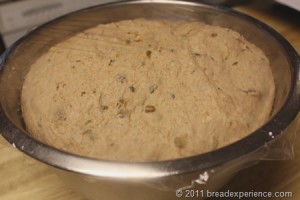 garden-tomato-bread_0038