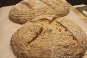 garden-tomato-bread_0054