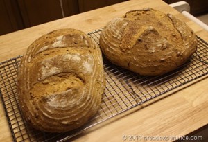 garden-tomato-bread_0061