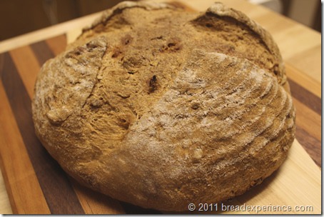 garden tomato bread