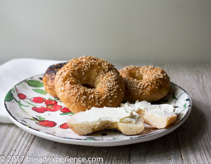 Gluten Free Kefir Water Bagels