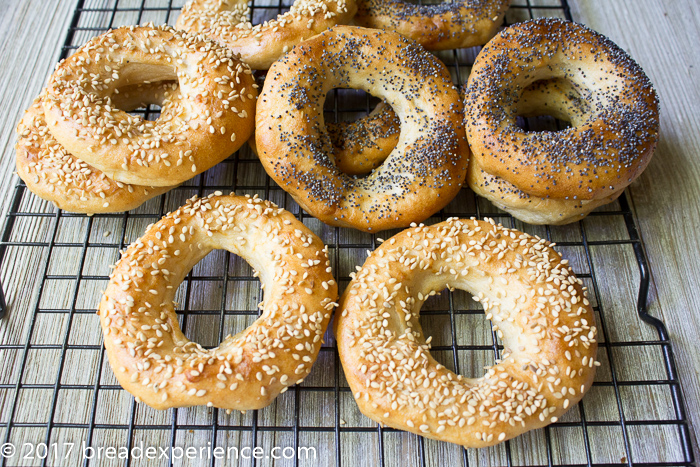 Gluten Free Kombucha Bagels