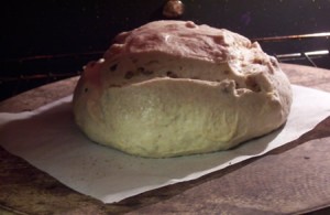 golden-raisin-bread 016