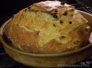 golden-raisin-bread 027