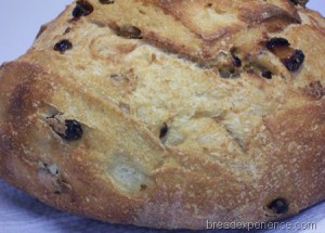 golden-raisin-bread 054