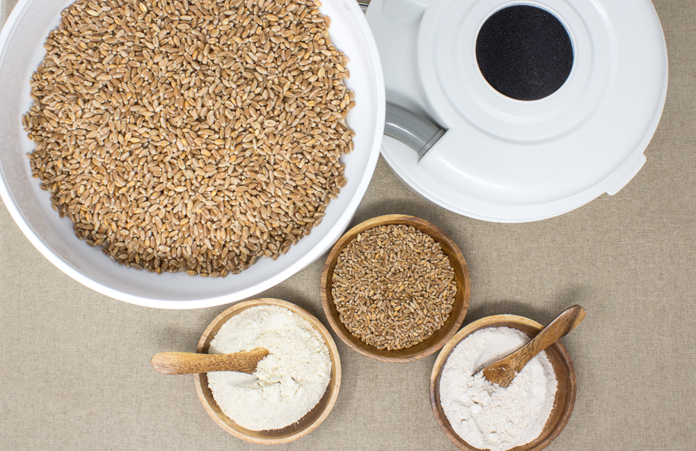 Grain Mill with grains and flour