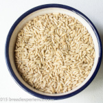 Oat Groats