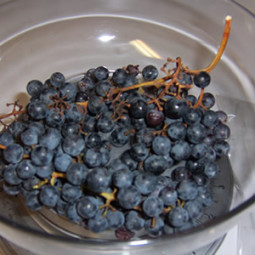sourdough grape starter