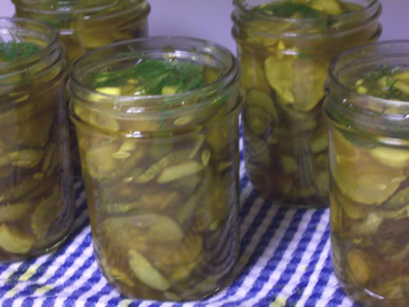 pickles packed into jars