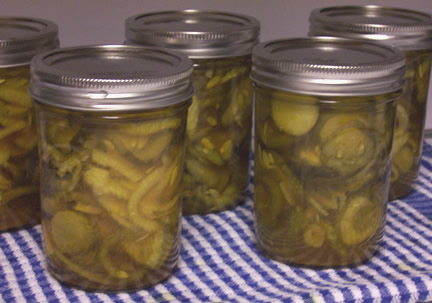 pickles ready for storage