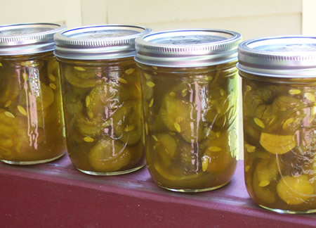 Hamburger Dill Pickles