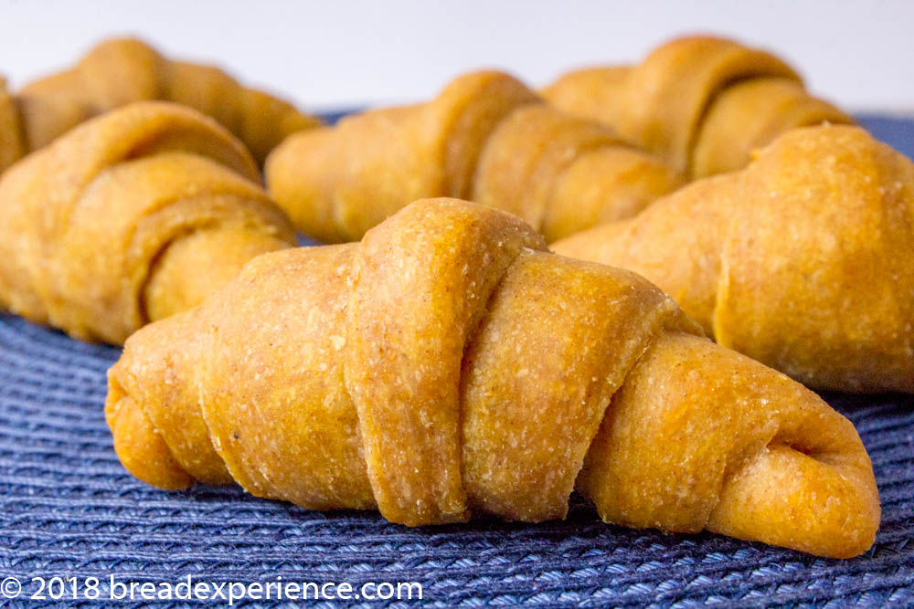 Sourdough Heritage Grain Pumpkin Crescent Rolls