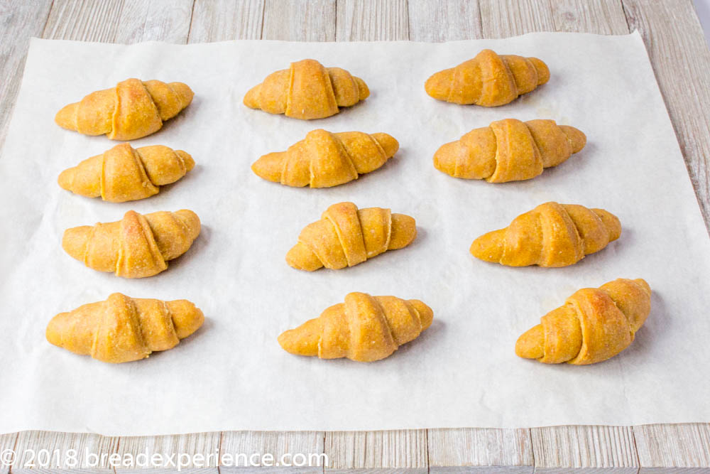 Sourdough Heritage Grain Pumpkin Crescent Rolls