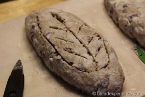 hutzelbrot_2065