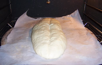Italian Bread Dough
