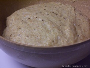 italian-spelt-bread 006