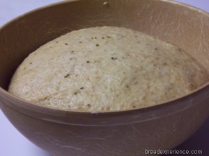 italian-spelt-bread 007