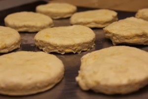 kamut-cheese-biscuits_207