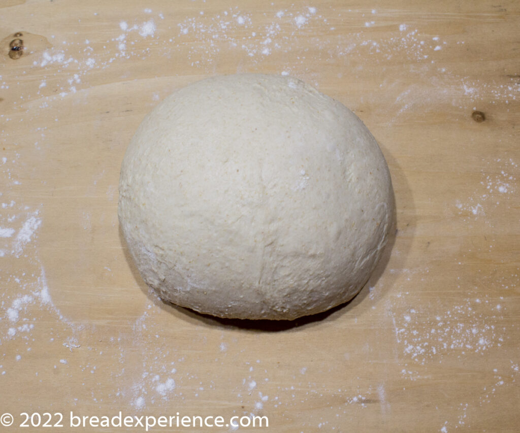 Dough resting on the counter before shaping Dough resting on the counter before shaping