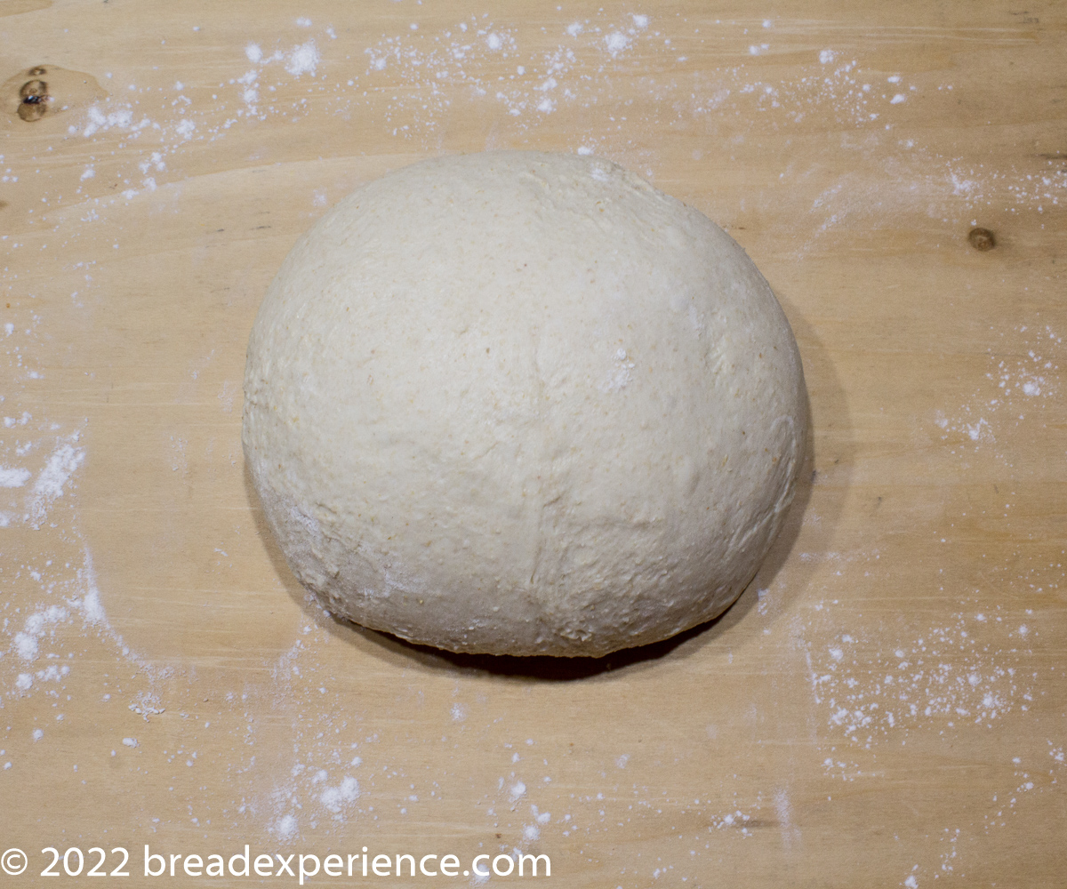Dough resting on the counter before shaping