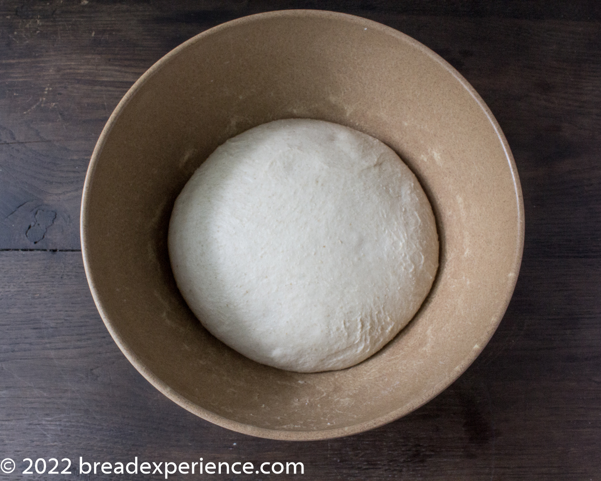 Dough bulk fermenting in the bowl
