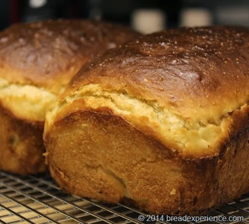 KAMUT Pain de Mie loaves cooling