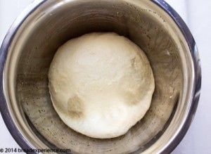 kamut-yeast-rolls-1-6