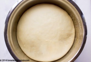 kamut-yeast-rolls-1-7