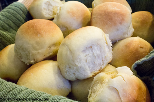 KAMUT Yeast Rolls