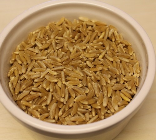 KAMUT brand Khorasan Wheat Grains