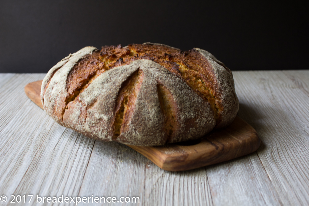 Pumpkin Cornmeal Einkorn Rye Bread and Rolls with Kefir Milk
